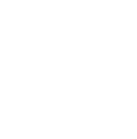 ARCFOX